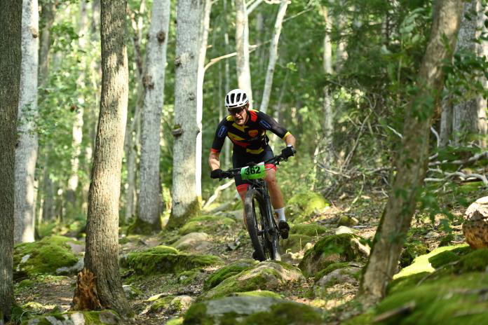 Mountainbikecykling genom Billingens bokskog